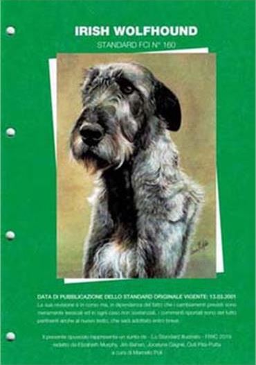 Commento allo standard dell'Irish Wolfhound